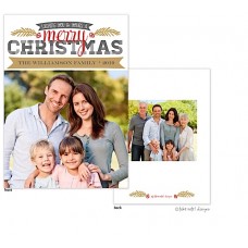 Christmas Digital Photo Cards, Christmas Berries Accent Red, Take Note Designs